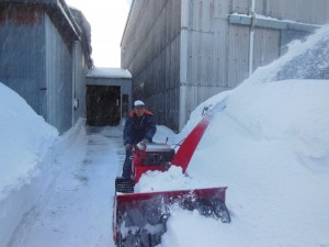 除雪作業　013.02.24