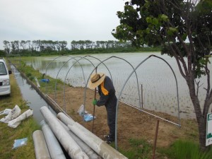  餌場寝床用ハウス作り