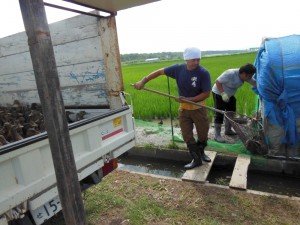 約４５日の仕事を終え山形に帰るカモ君