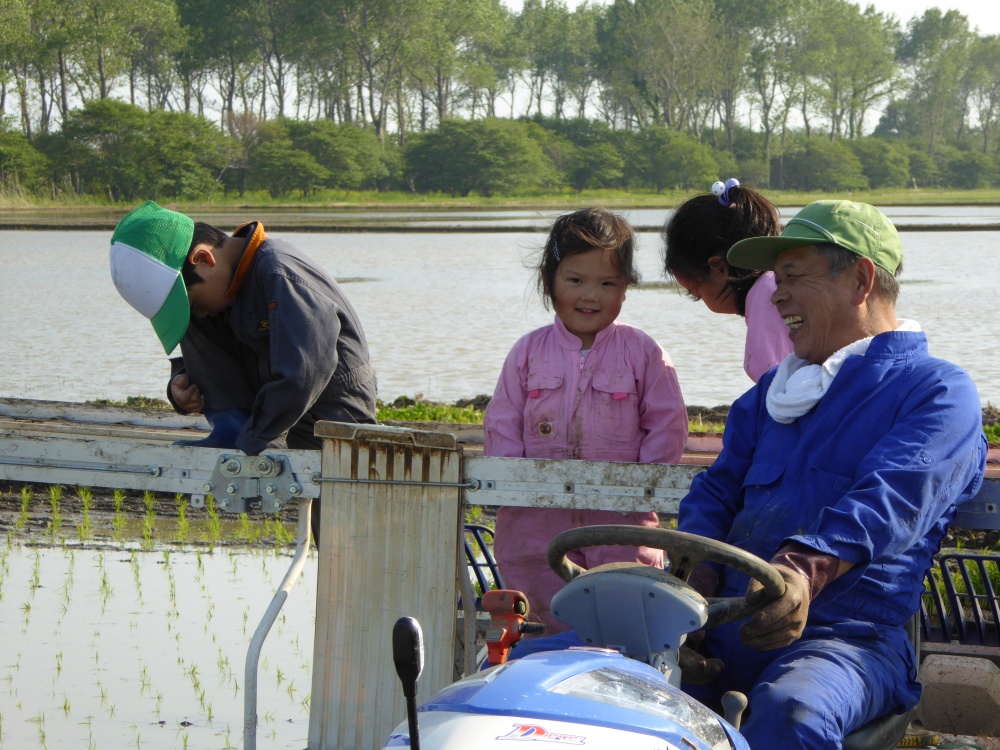 田植え２０１５