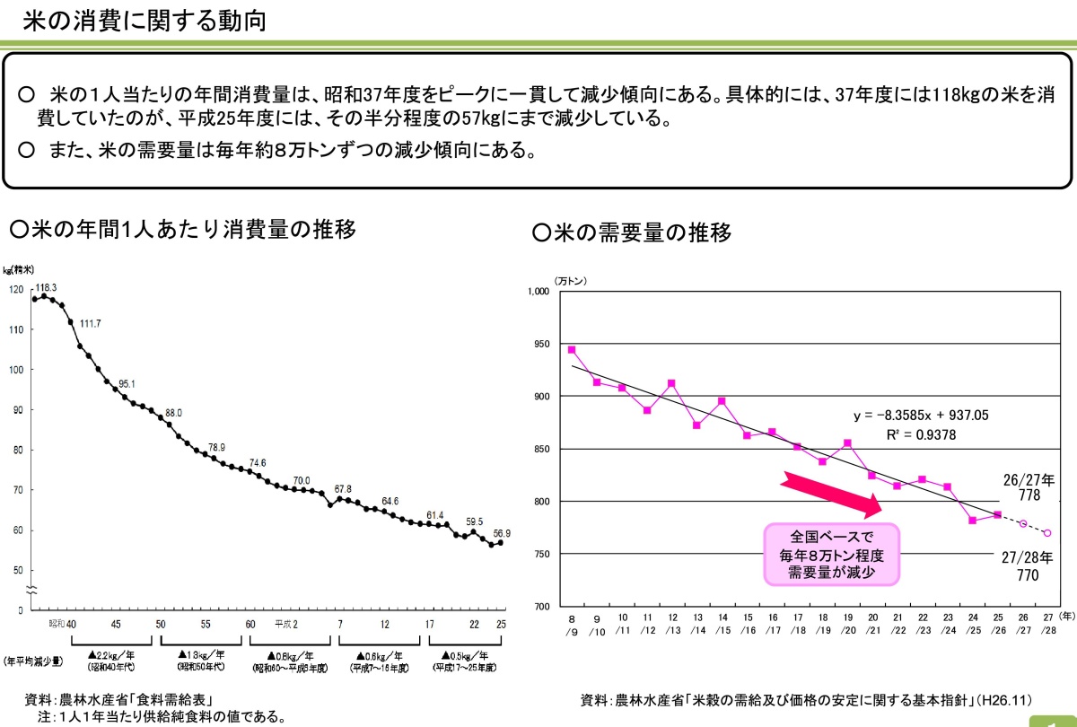 TPPふたたび