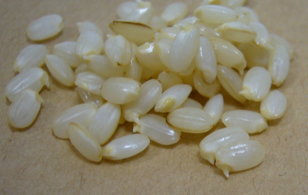 FAQ:白米と玄米を混ぜて炊くには？
