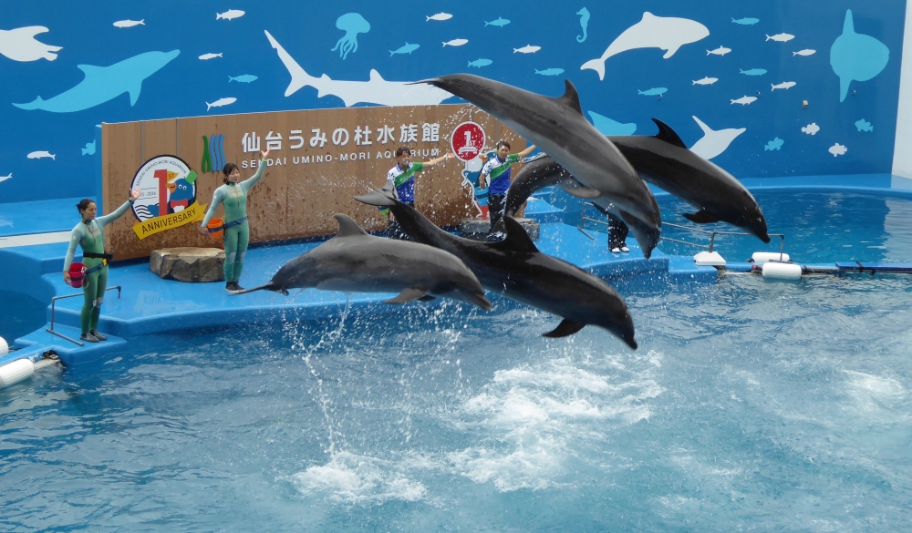 仙台うみの杜水族館