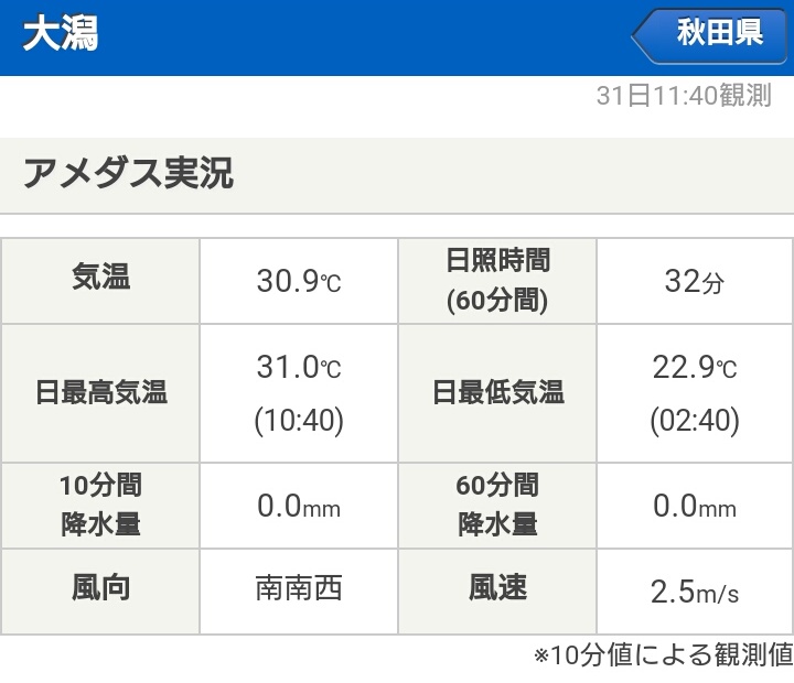 あまりの暑さに日の出前から作業してみました。