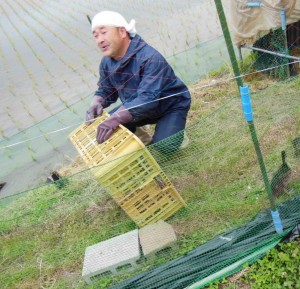 「山形県の鴨屋さん」カモを届けに来てくれました。 2017.6.15撮影