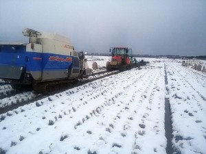 作業機・トラクターの牽引 昨秋は雨が多く、ぬかるんでいるので、トラクターが沈車する前に、コンバインで引っ張りながら作業しました。