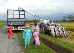 ９月の低温気味のお陰で、前半の障害を乗り越えました。 稲刈り中の日曜日は、田圃が孫たちの遊び場。